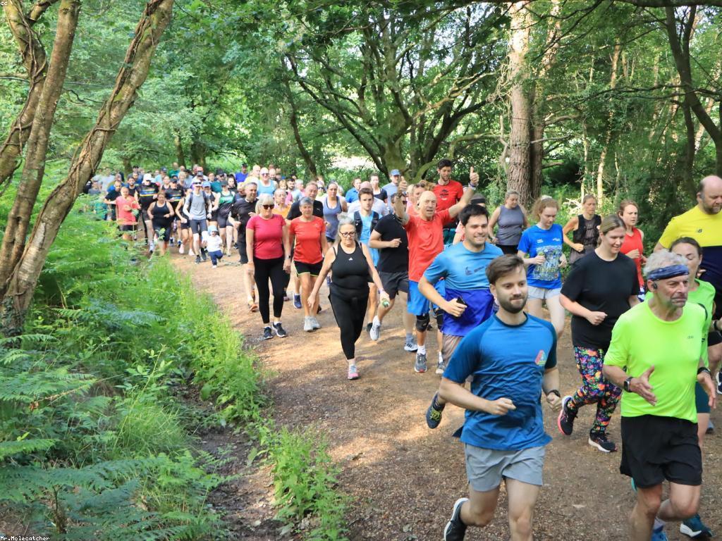 ផលប៉ះពាល់នៃសកម្មភាពលើសង្គម