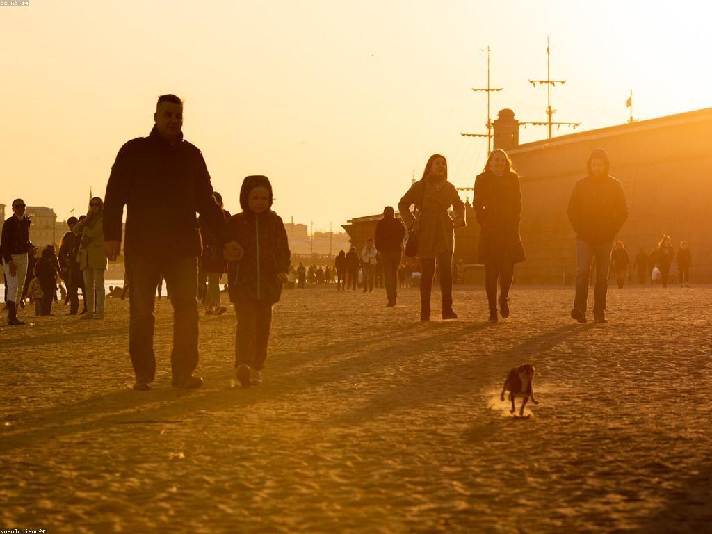 ព័ត៌មានអំពីសកម្មភាព