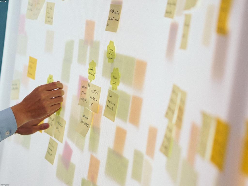 បទពិសោធន៍ជោគជ័យក្នុងការលូតលាស់អាជីវកម្ម